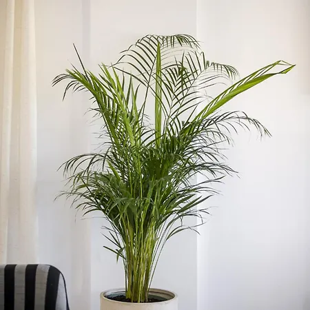 Casa vacanze Conte Marco Sunny Garden *