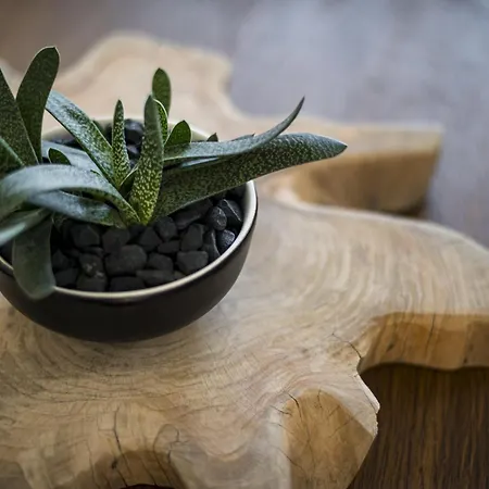 Vakantiehuis Conte Marco Sunny Garden *